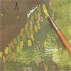 Técnica Impasto con Pincel. Pintura al óleo.